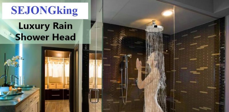 Trào lưu sử dụng sen cây hàn quốc của người việt